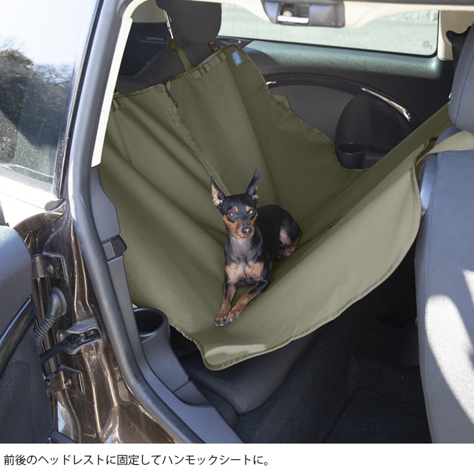 Whole Earth �ۡ��륢���� �ڥåȥ�����