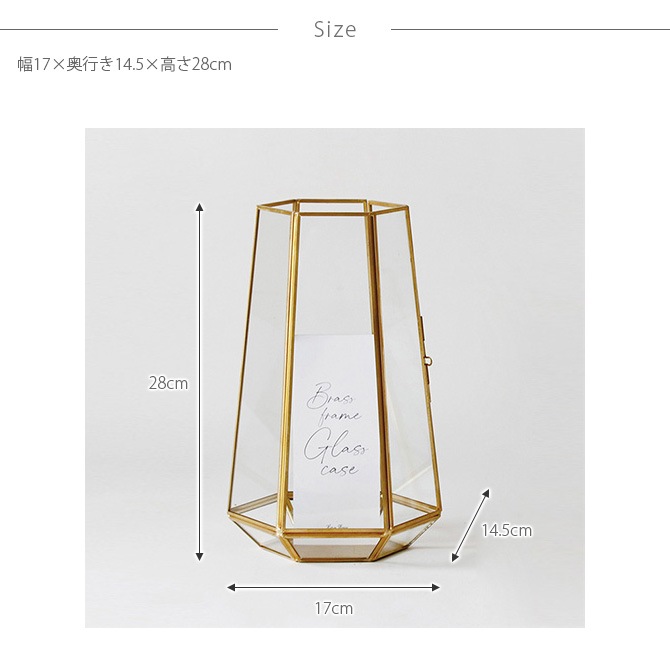 Horn Please ۡ ץ꡼ BRASSե졼 饹 إ L