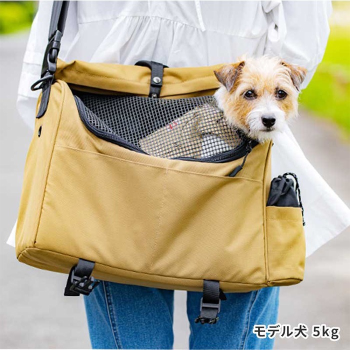 LIFELIKE �饤�ե饤�� ��å��󥸥㡼�����