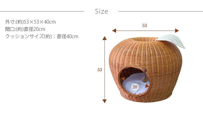 ǭ �٥å� �饿�� �ݥ�ϥ���