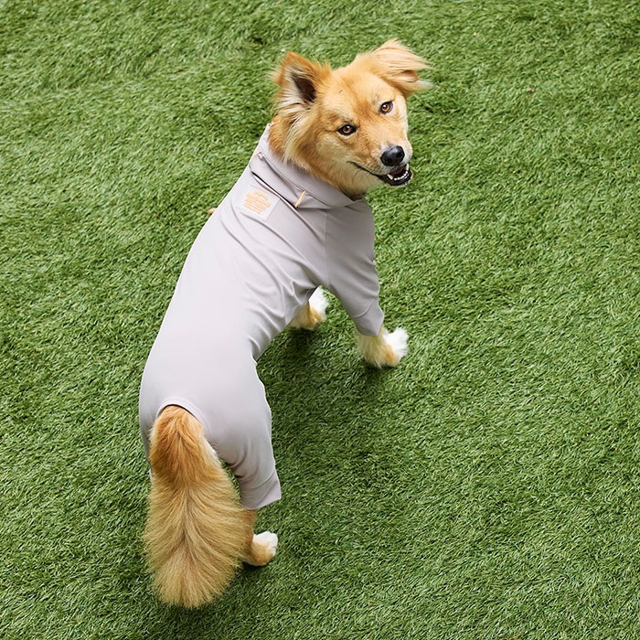 MANDARINE BROTHERS �ޥ�����֥饶���� ������������ڥ��� �����󥿥��ȥ����ġ�XL��XLB��XXL