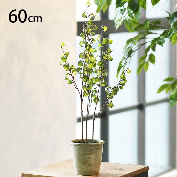 1_000000012207.jpg?1732692838