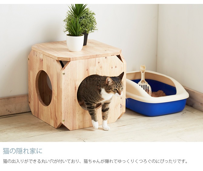 NATURAL SIGNATURE ʥ륷ͥ㡼 Cut-hus ȥϥ ڥåȥ٥ S