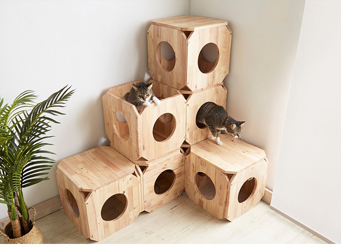 NATURAL SIGNATURE ʥ륷ͥ㡼 Cut-hus ȥϥ ڥåȥ٥ S