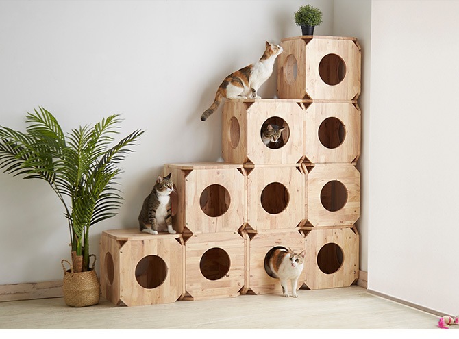 NATURAL SIGNATURE ʥ륷ͥ㡼 Cut-hus ȥϥ ڥåȥ٥ S