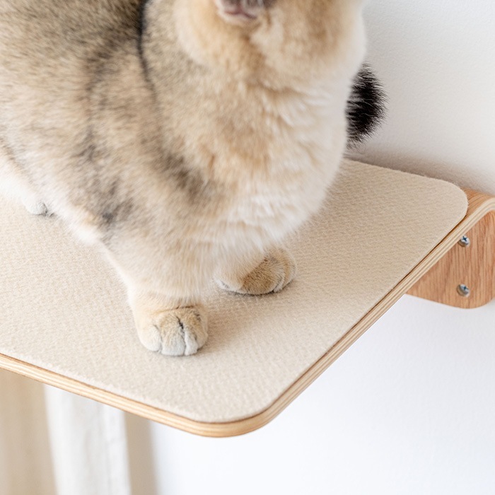 MYZOO �ޥ����� Oblong 60cm���ѡ����ߤ�ޥå�(2����)