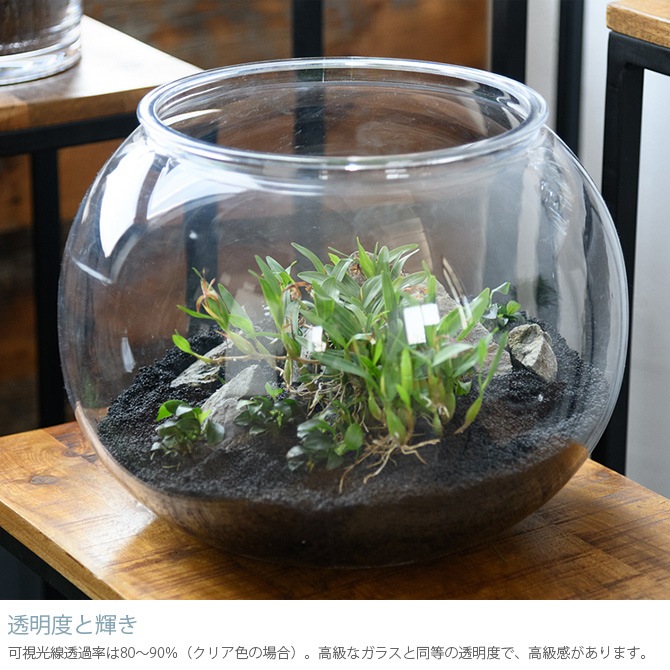 FOYER �ۥ磻�� PV��� ľ��34.5cm ����25cm