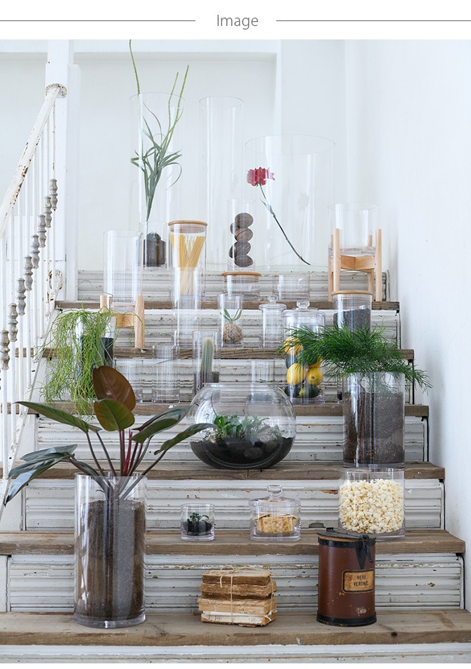 FOYER �ۥ磻�� PV��� ľ��34.5cm ����25cm