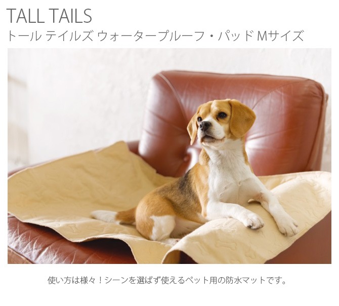 TALL TAILS �ȡ��� �ƥ��륺 �����������ץ롼�ա��ѥå� M �١�����