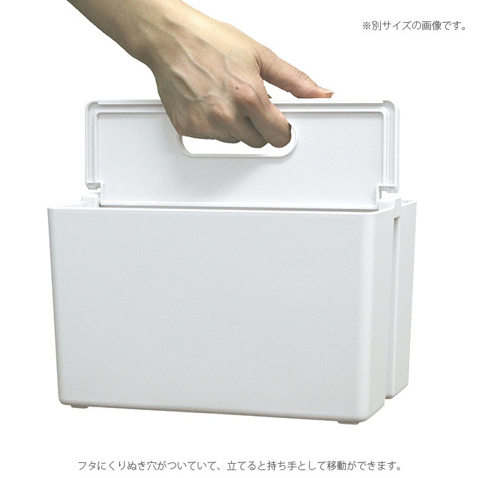 COLLEND ������ ���륳�� M