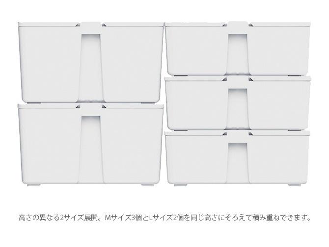 COLLEND ������ ���륳�� M