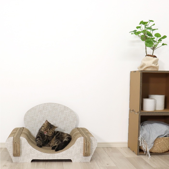 Paper New Standard All ways ����åȥ��ե� �ޤȤ� totonoi