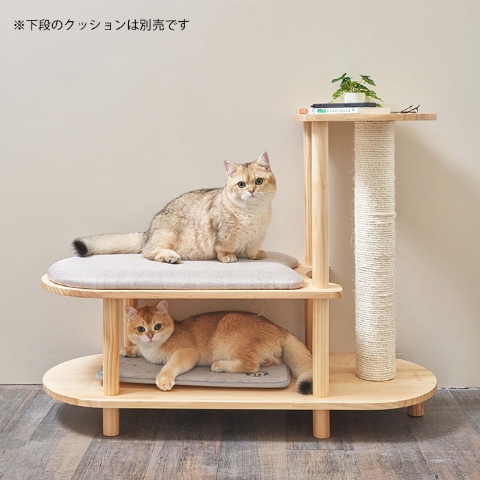 MYZOO ޥ ǭѥ塼ġ Trinet