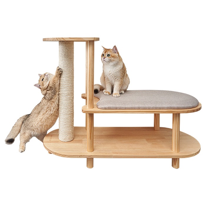 MYZOO ޥ ǭѥ塼ġ Trinet