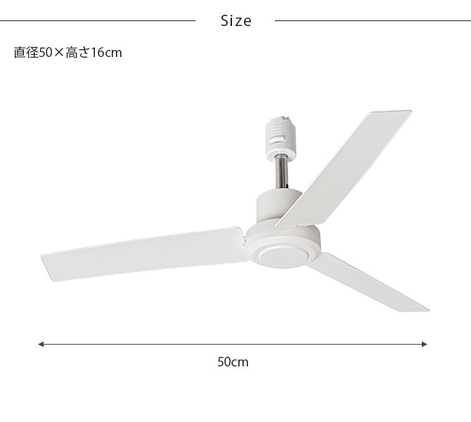 BRID �֥�å� GENERAL �����ȥ졼��ե��� DC�⡼���� �ץ饹 ľ��50cm 8off