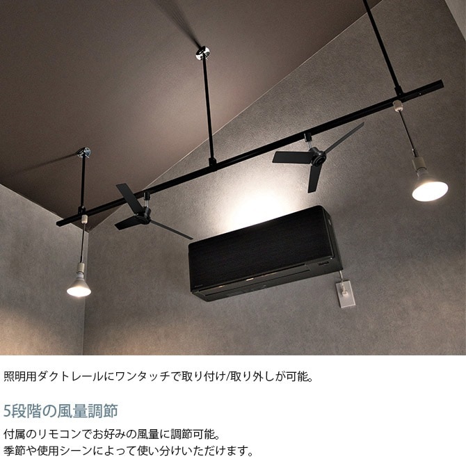 BRID �֥�å� GENERAL �����ȥ졼��ե��� DC�⡼���� �ץ饹 ľ��50cm 8off