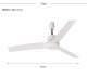 BRID �֥�å� GENERAL �����ȥ졼��ե��� DC�⡼���� �ץ饹 ľ��50cm 8off