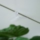 BRID �֥�å� GENERAL �����ȥ졼��ե��� DC�⡼���� �ץ饹 ľ��50cm 8off