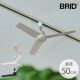 BRID �֥�å� GENERAL �����ȥ졼��ե��� DC�⡼���� �ץ饹 ľ��50cm 8off