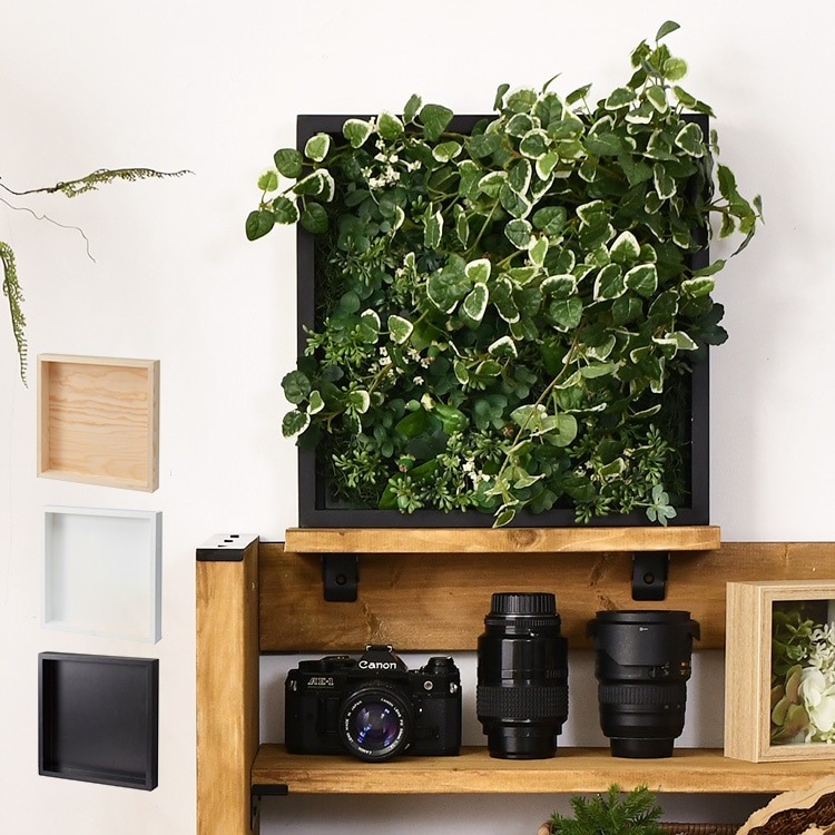 ウッドボードフレーム | 商品種別,グリーン,フェイクグリーン,アレンジ