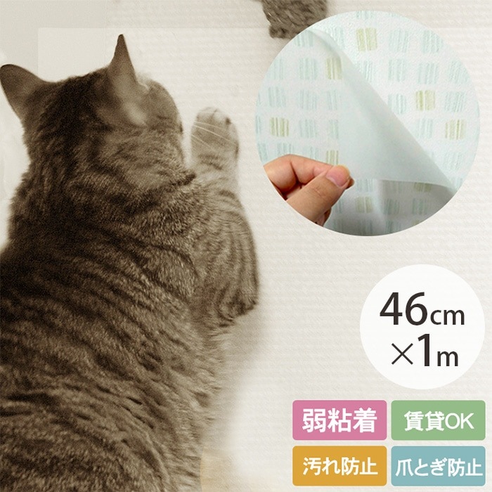 ペット壁保護シート 46cm×1m （弱粘着タイプ） | 商品種別,ペット