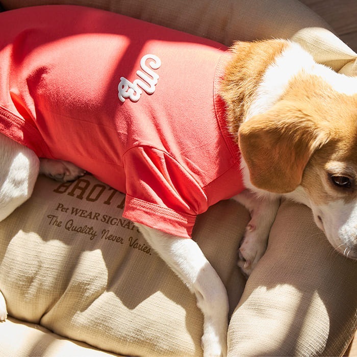 MANDARINE BROTHERS �ޥ�����֥饶���� �ѥե�������������T����� M��MD��L