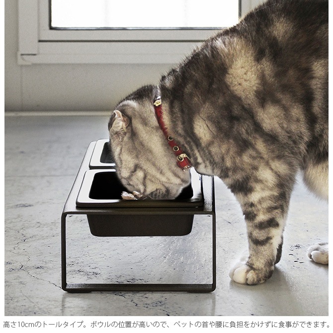 tower ��� �ڥåȥա��ɥܥ��륹����ɥ��å� �ȡ���