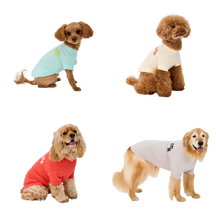 MANDARINE BROTHERS �ޥ�����֥饶���� �ѥե�������������T����� XL��XLB��XXL