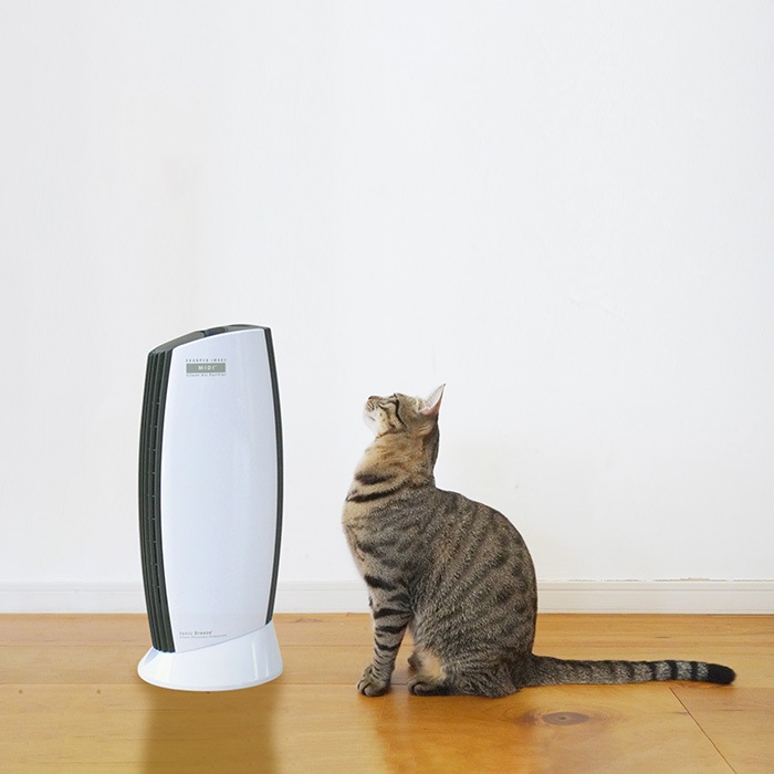 Ionic Breeze �����˥å��֥꡼�� �ե��륿���쥹���������� �����˥å��֥꡼�� �ߥǥ�