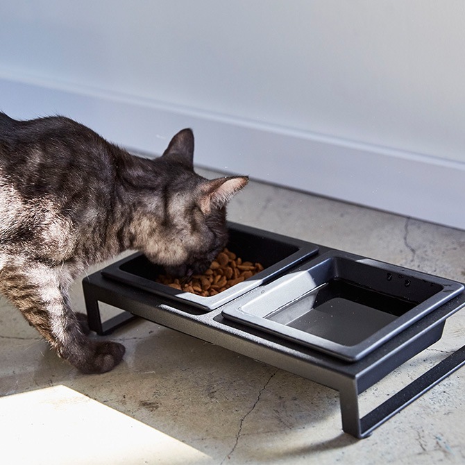 tower ��� �ڥåȥա��ɥܥ��륹����ɥ��å�