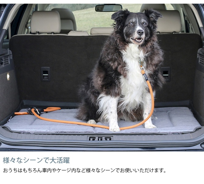 TALL TAILS �ȡ��� �ƥ��륺 ���졼�� �٥å� S