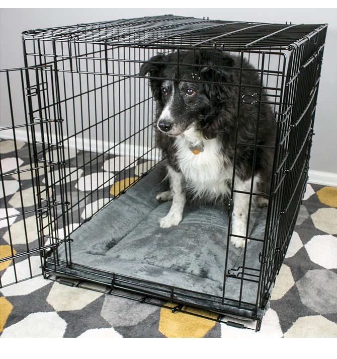 TALL TAILS �ȡ��� �ƥ��륺 ���졼�� �٥å� S