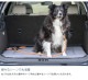 TALL TAILS �ȡ��� �ƥ��륺 ���졼�� �٥å� S