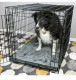 TALL TAILS �ȡ��� �ƥ��륺 ���졼�� �٥å� S