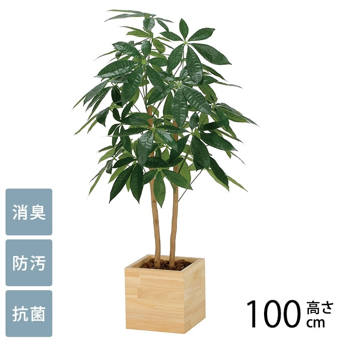 フェイクグリーン 鉢植え 大型 ウッドボックス パキラ 1m | 商品種別