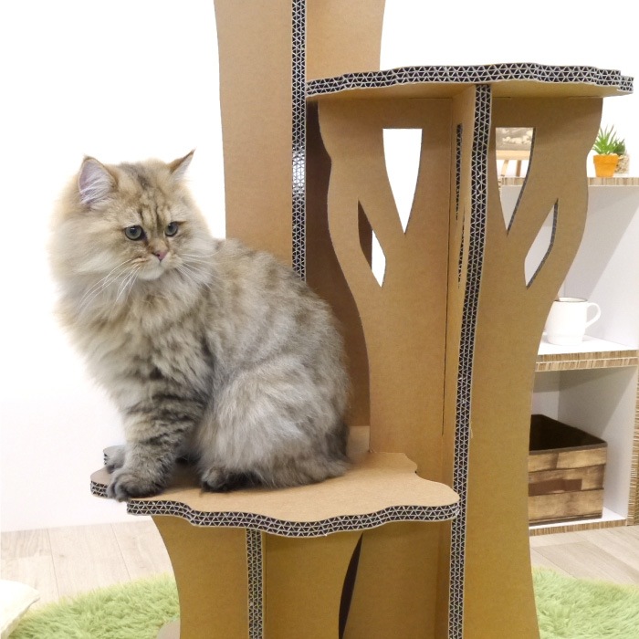 Paper New Standard All ways åȥ ĥ꡼ƥå