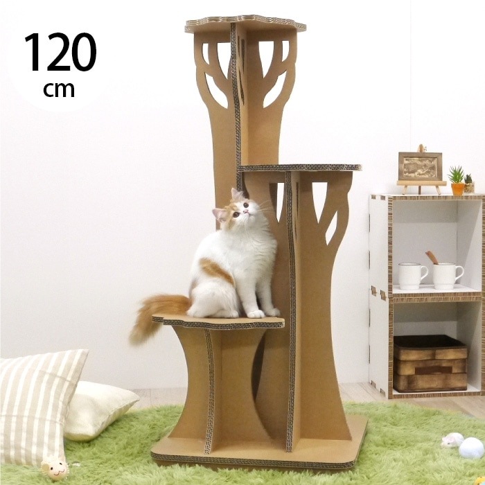 Paper New Standard All ways åȥ ĥ꡼ƥå