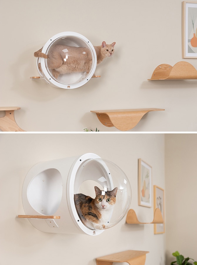 MYZOO �ޥ����� ������ Ocean rover ǭ�٥å�