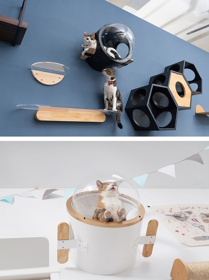 MYZOO �ޥ����� ������ Ocean rover ǭ�٥å�