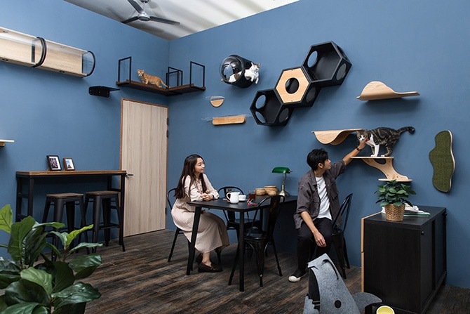 MYZOO �ޥ����� ������ Ocean rover ǭ�٥å�