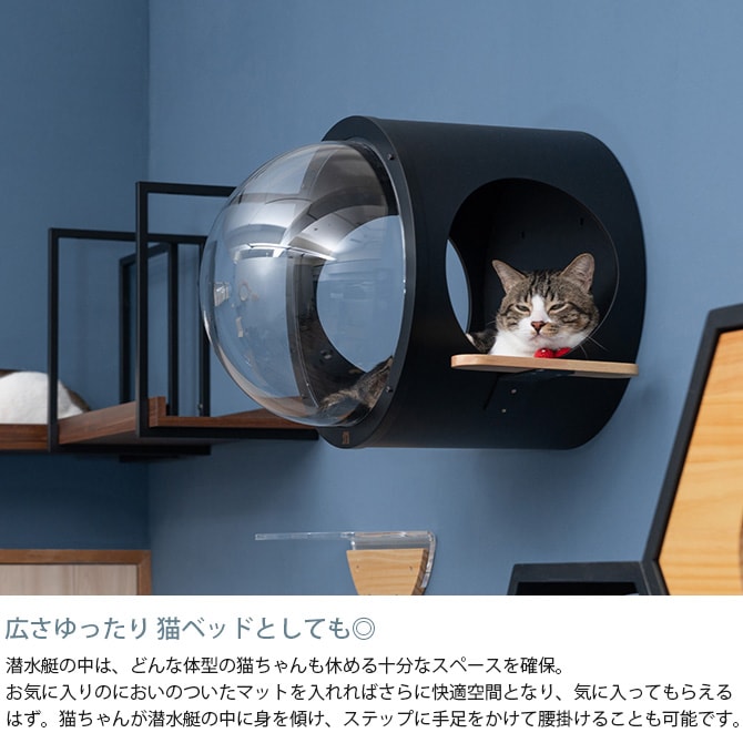 MYZOO �ޥ����� ������ Ocean rover ǭ�٥å�