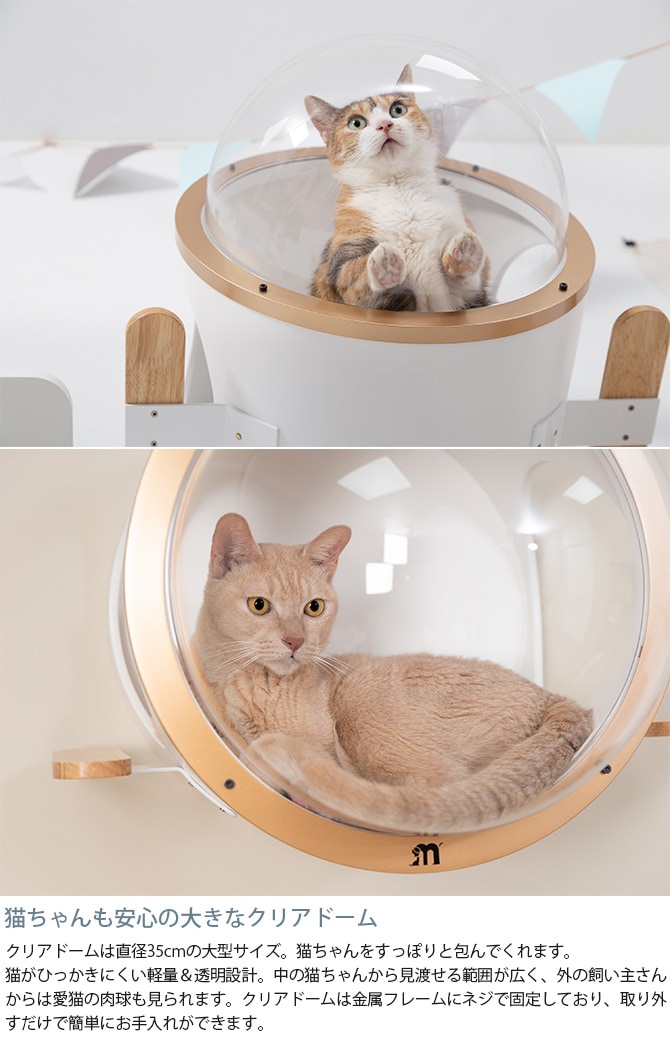 MYZOO �ޥ����� ������ Ocean rover ǭ�٥å�