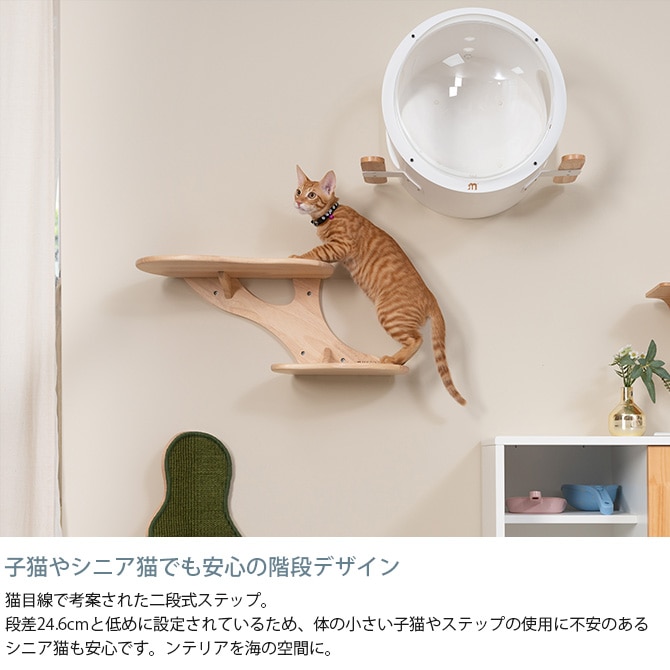 MYZOO �ޥ����� CORAL ����åȥ��ƥå�