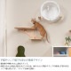 MYZOO �ޥ����� CORAL ����åȥ��ƥå�