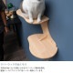 MYZOO �ޥ����� CORAL ����åȥ��ƥå�