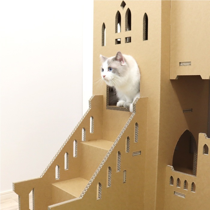 Paper New Standard All ways ����åȥ�� �ĥ��󥭥�å���