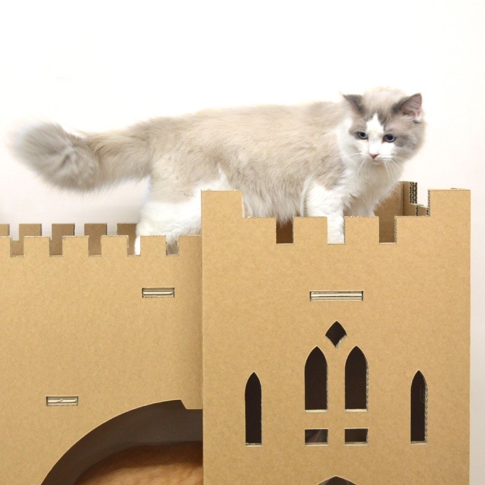 Paper New Standard All ways ����åȥ�� �ĥ��󥭥�å���