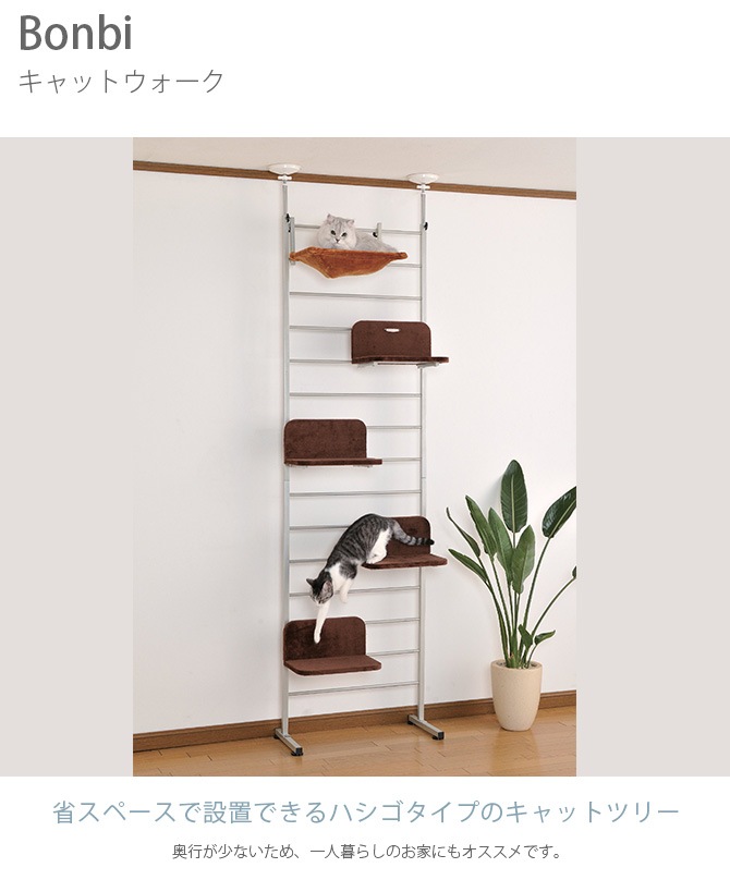 Bonbi ܥӥ륳 ܥ åȥ