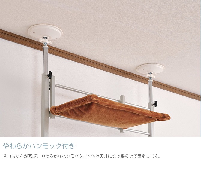 Bonbi ܥӥ륳 ܥ åȥ