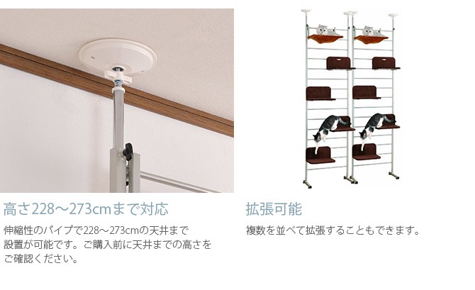 Bonbi ܥӥ륳 ܥ åȥ